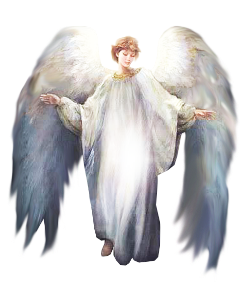 АНГИДАК на белом фоне