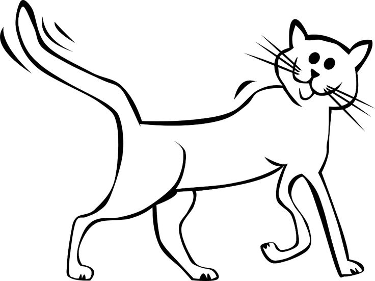 Кошка рисунок