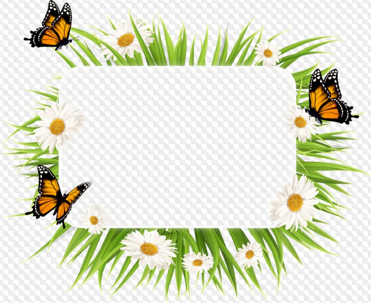 Летняя рамка