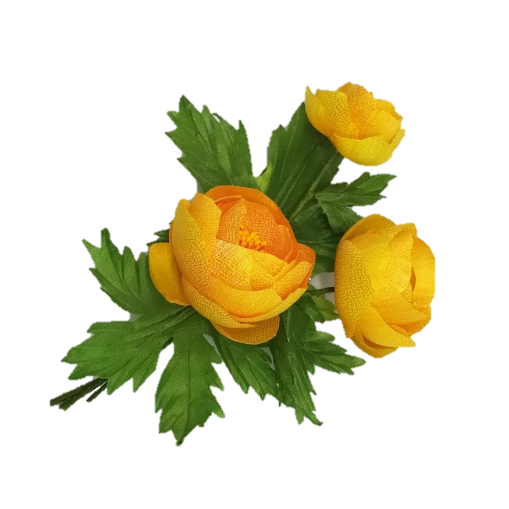 Купальница Италмас