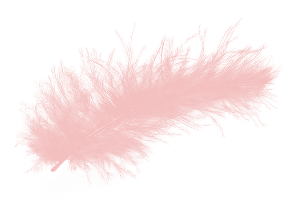 Розовые перья для фотошопа
