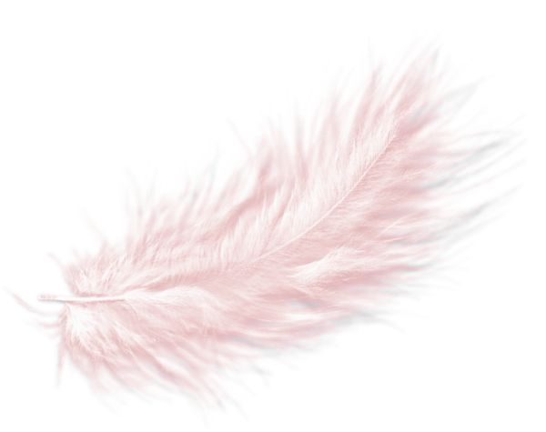 Розовое перышко