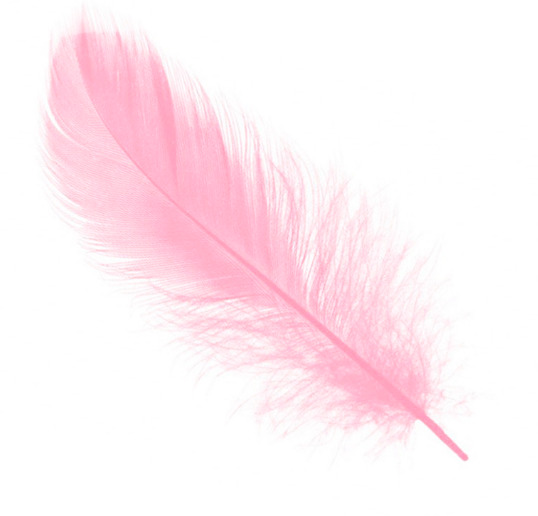 Перья декоративные