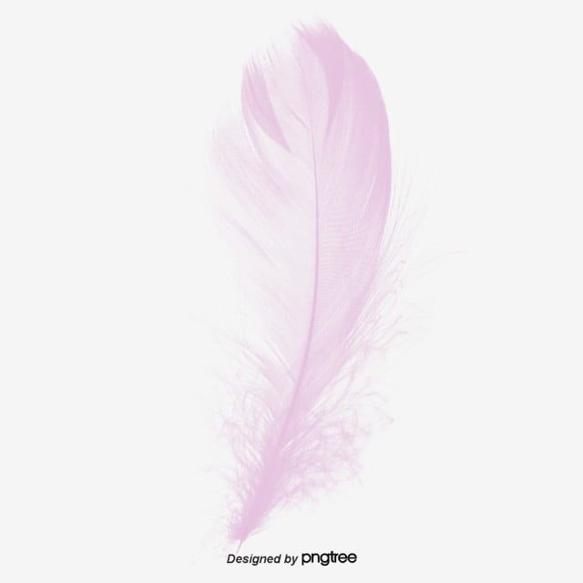 Перышко на прозрачном фоне