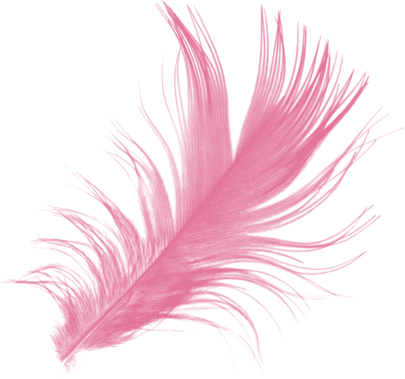 Перышко на прозрачном фоне