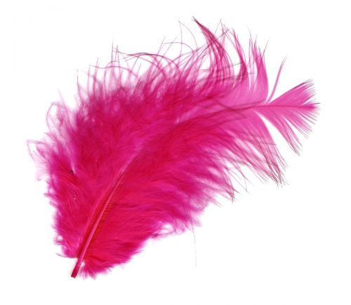 Цветные перья