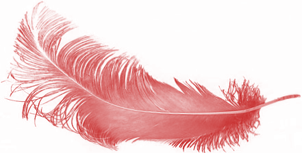 Красное перо