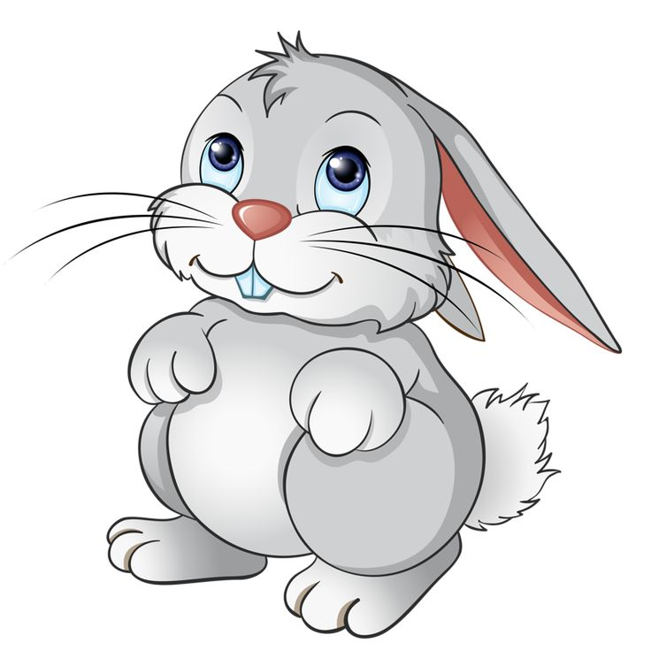 Заяц рисунок