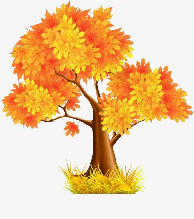 Деревья осенью