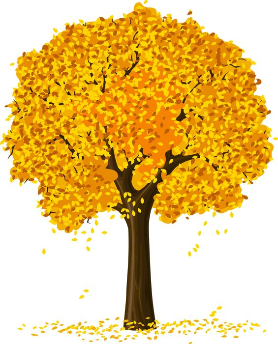 Осеннее дерево на прозрачном фоне