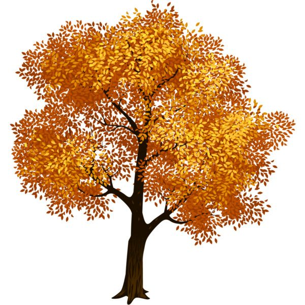 Осеннее дерево на прозрачном фоне