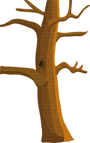 Дерево без веток