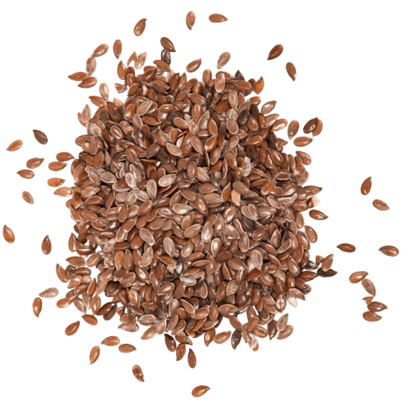 Семена льна сверху