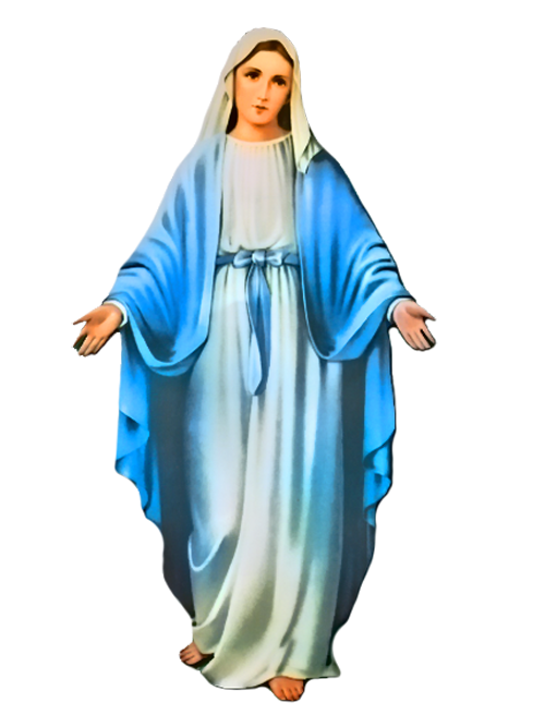 Дева Мария католическая