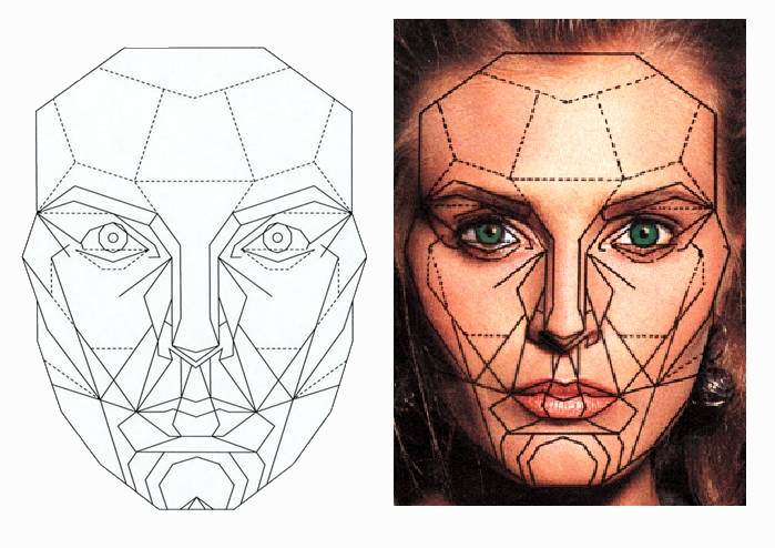 идеальная форма лица схема