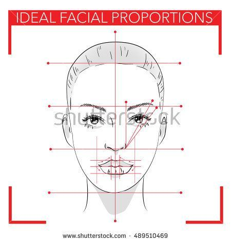 Пропорции лица схема