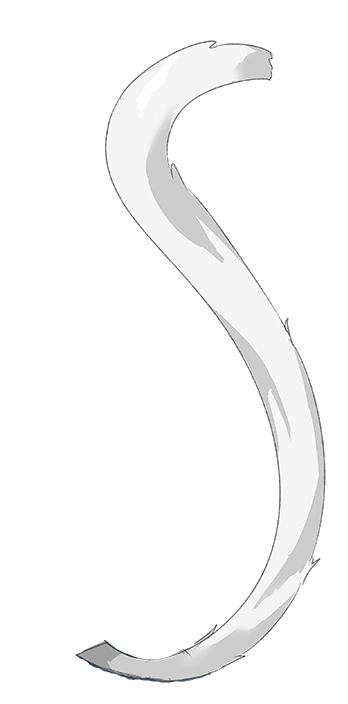 Хвост на прозрачном фоне