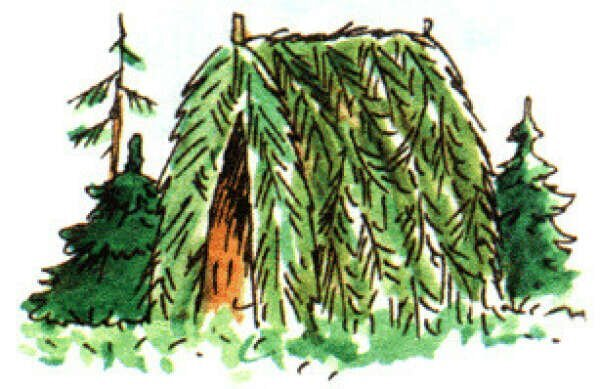 Шалаш на прозрачном фоне