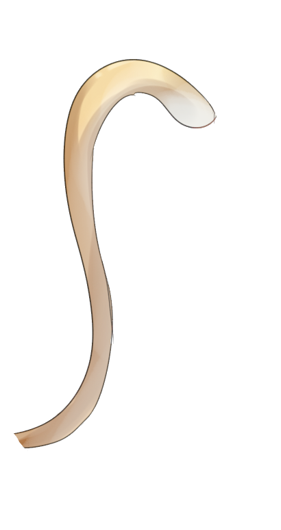 Хвост кота без фона