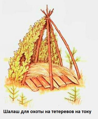 Шалаш из веток для детей