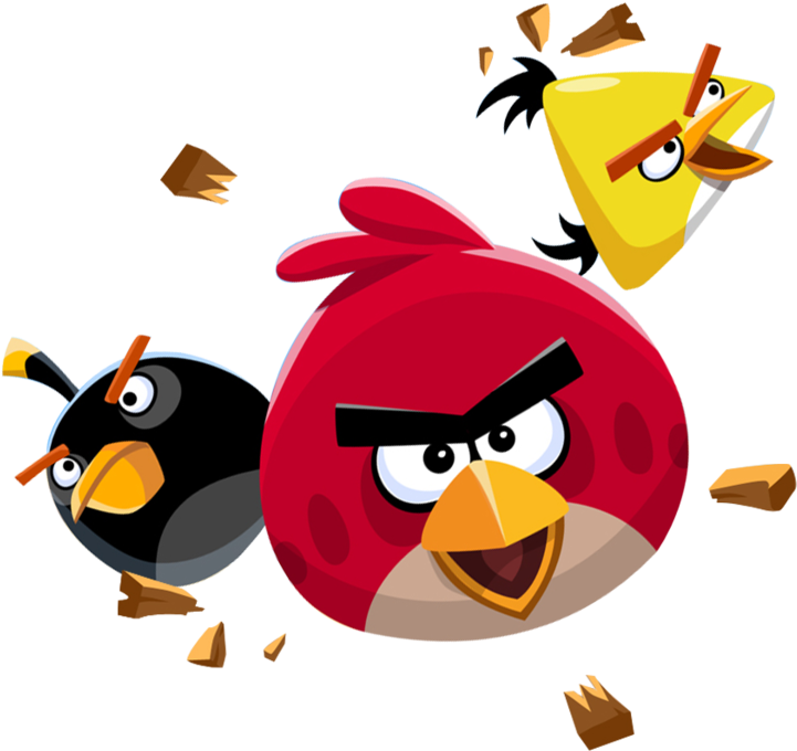 Canary Bird