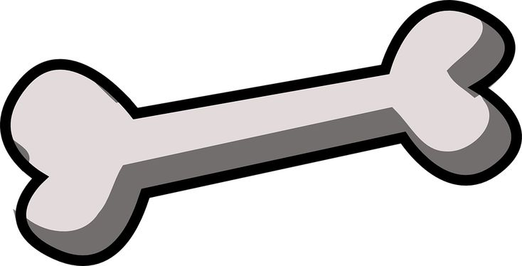 Кость рисунок