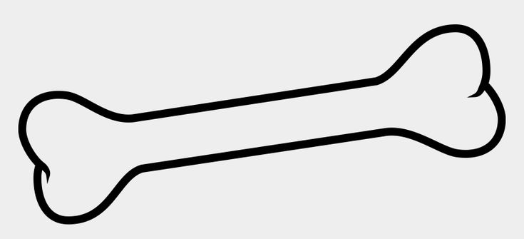 Кости рисунок