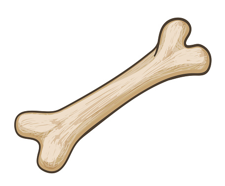 Кость без фона
