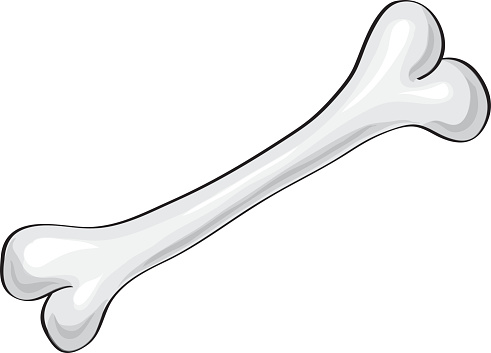 Кость на белом фоне