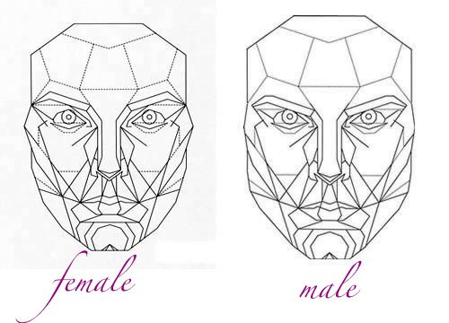 Стивен Марквардт маска красоты золотое сечение