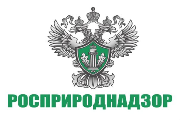 Росприроднадзор эмблема без фона