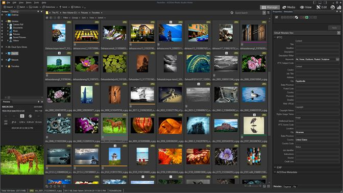 ACDSEE 2.4