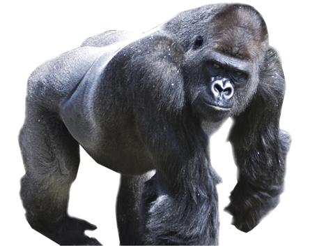 Горилла мультяшная