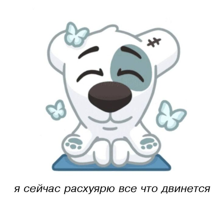 Стикеры ВК Спотти