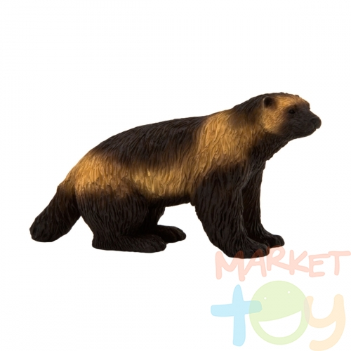 Росомаха животное