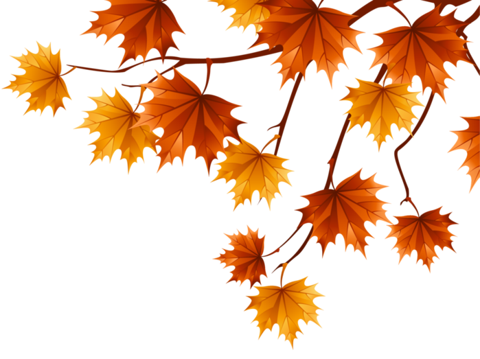 Осенние листочки на прозрачном фоне