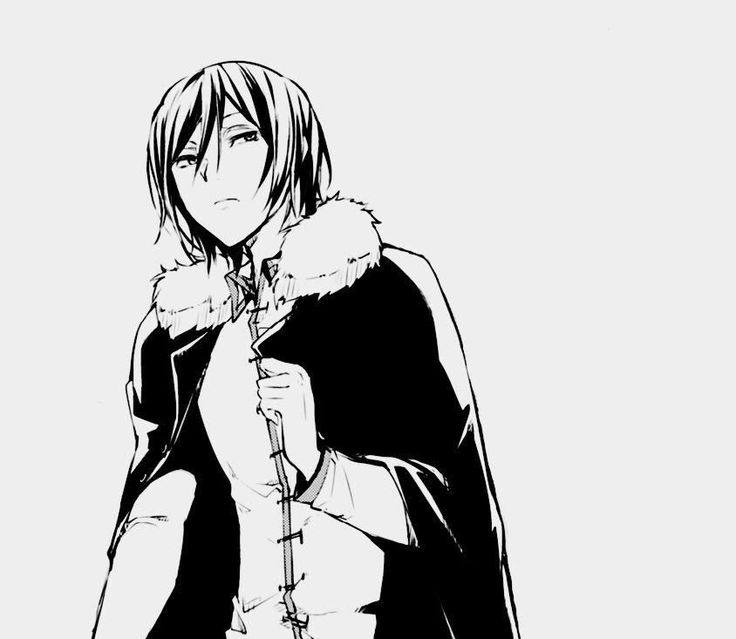 Фёдор Достоевский БСД