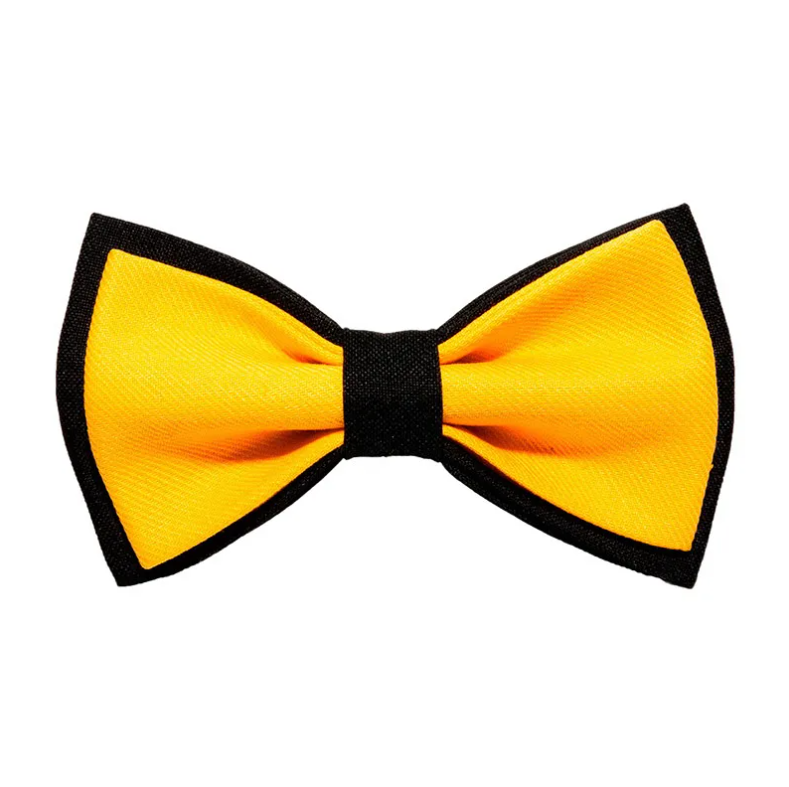 Мужская бабочка