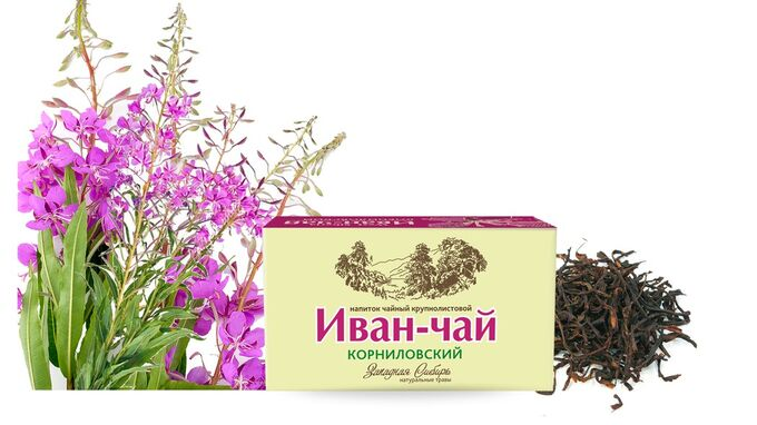 Иван-чай узколистный