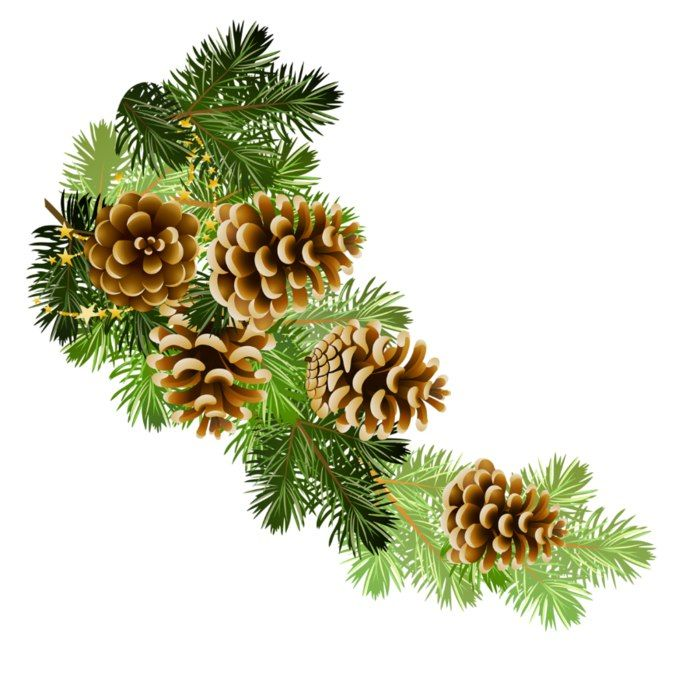 Новогодняя ветка