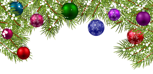 Ветка новогодней елки