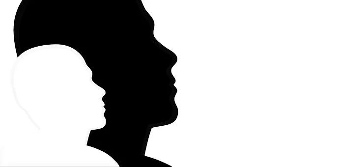 Силуэт лица