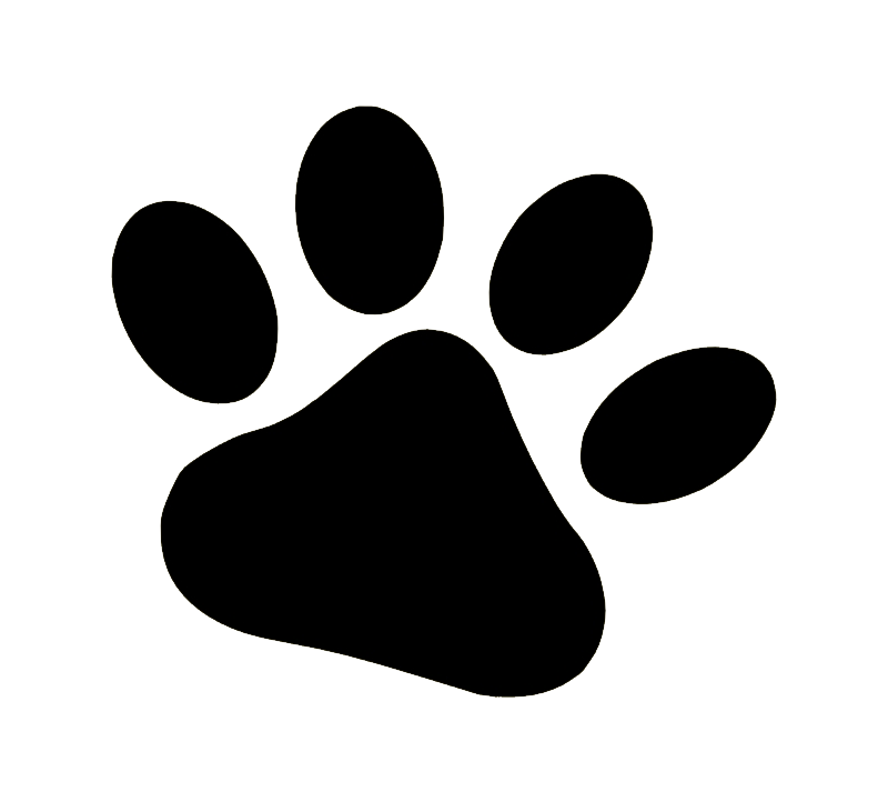 След собаки