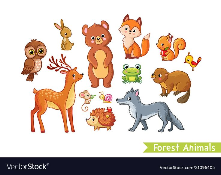 Лесные звери для детей