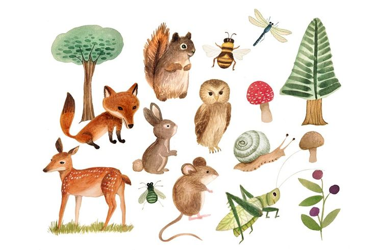 Жители леса