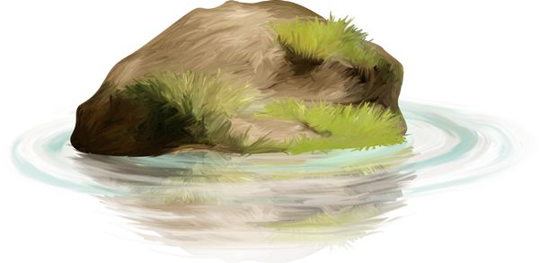 Кочка на прозрачном фоне
