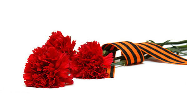 Георгиевская лента с гвоздикой