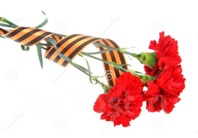 Гвоздики с георгиевской лентой