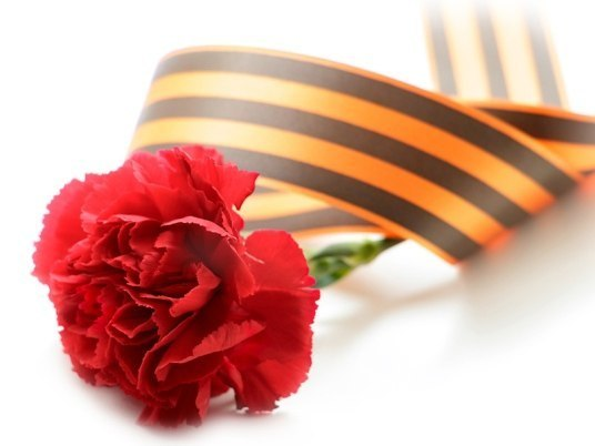 Гвоздики с георгиевской лентой