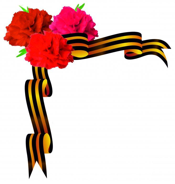 Гвоздики с георгиевской лентой